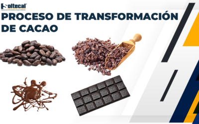 Pasos para la transformación del cacao en chocolate