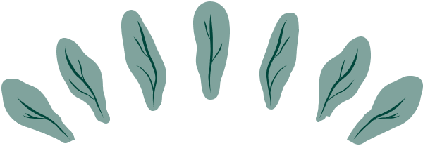 De la semilla al chocolate: Soltecal, FBM y kakaoteros